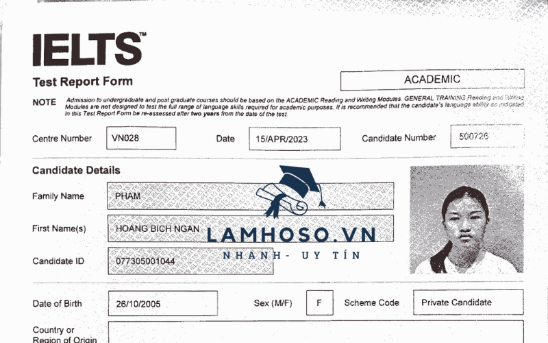 Sở hữu bằng ngoại ngữ IELTS giúp bạn có cơ hội thăng tiến trong công việc