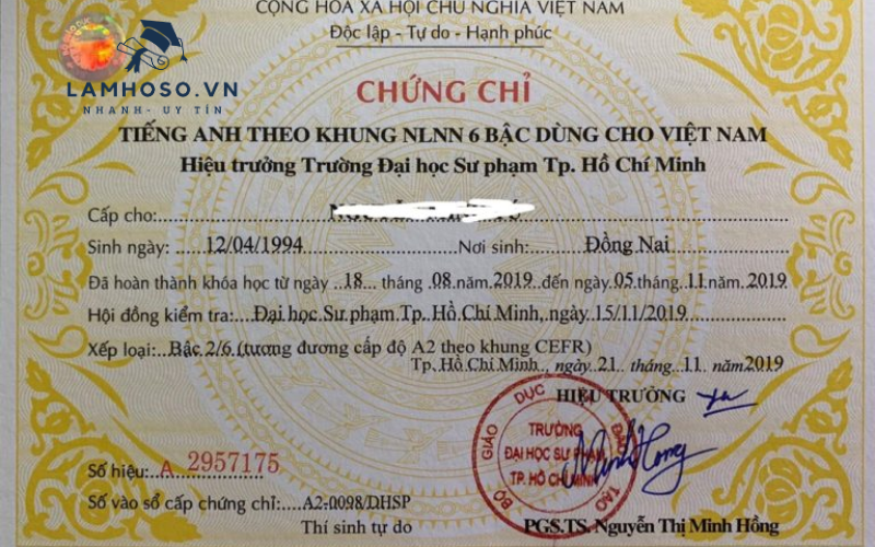Sở hữu bằng ngoại ngữ mở ra cánh cổng mới cho tương lai